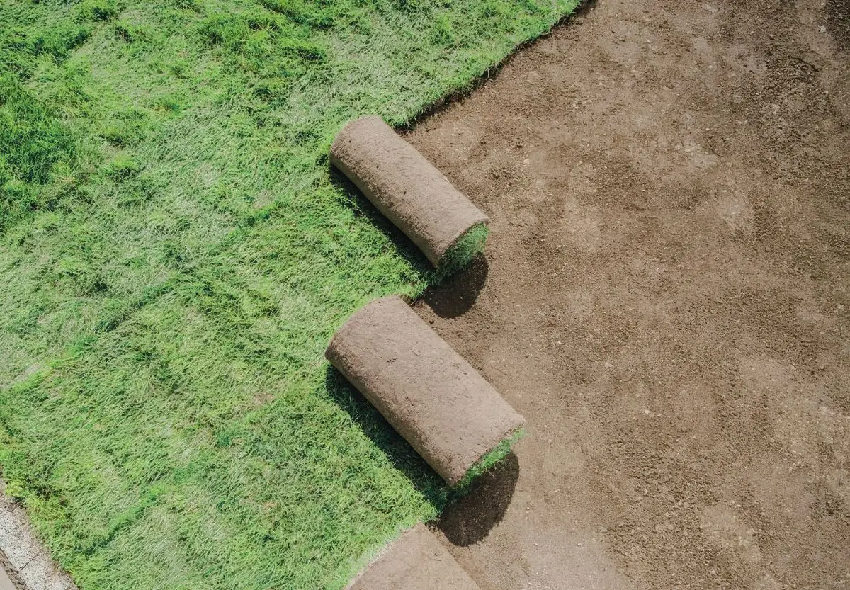 big-roll sod 11
